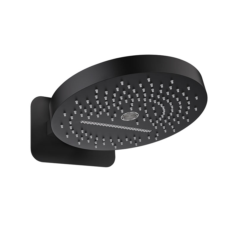 Stainless Steel Rain Head