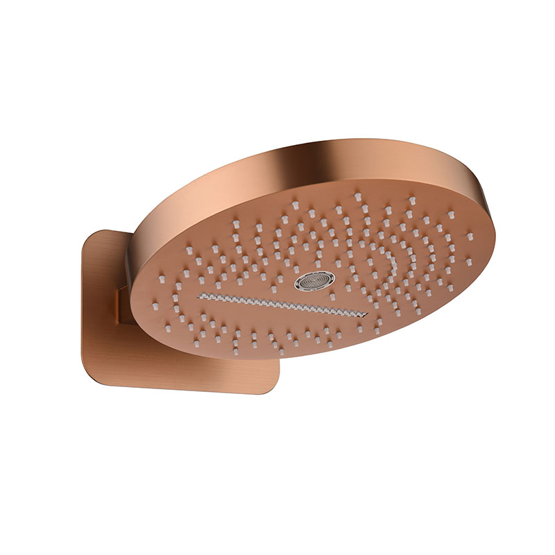 Stainless Steel Rain Head