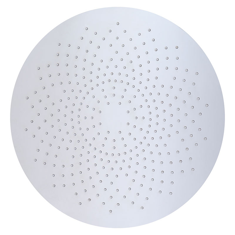 304 Stainless Steel Shower Head