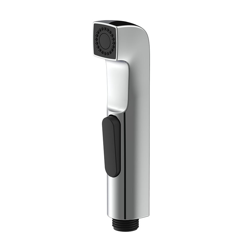 Douche Spray Thermostatic