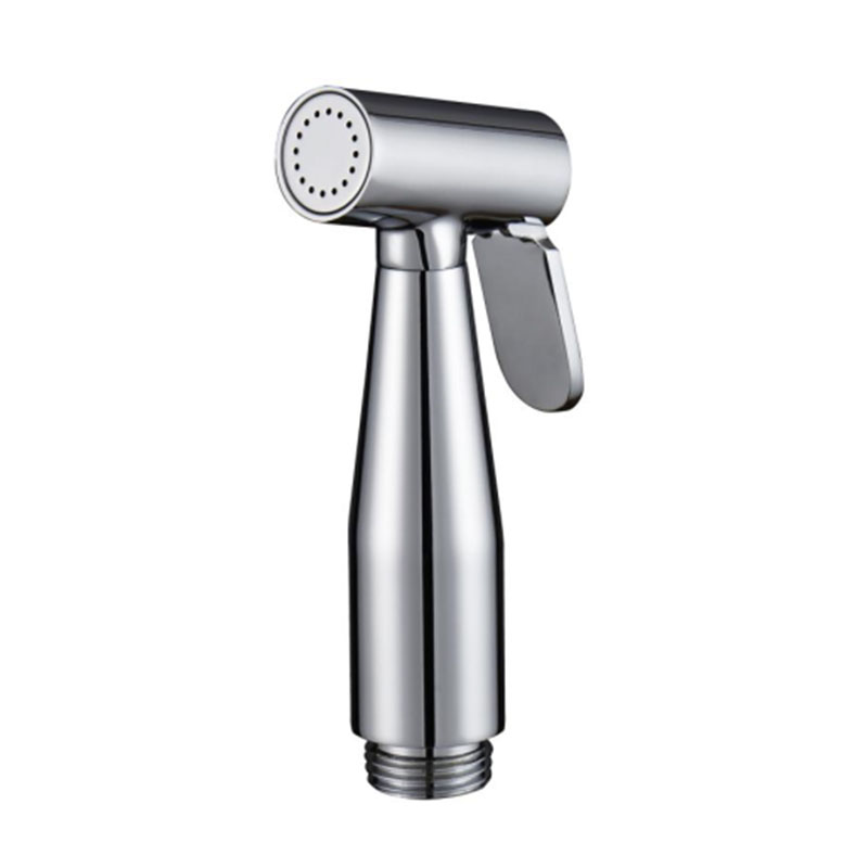 Bidet Spray Stainless Steel