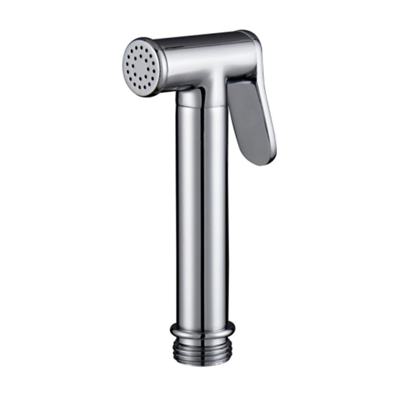 Best Toilet Bidet Sprayer