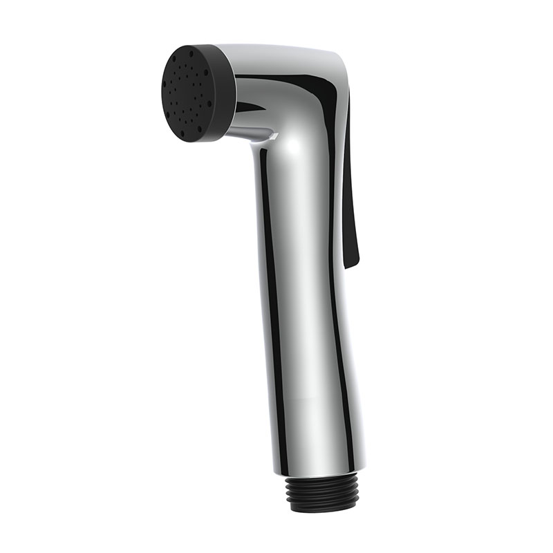 Toilet With Hand Held Bidet Spray