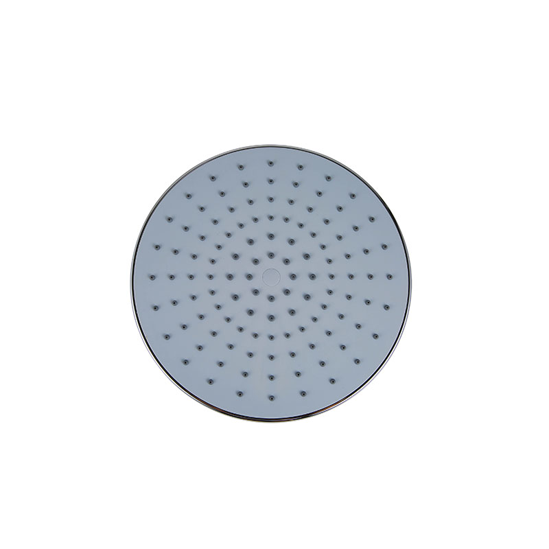 Polished Brass Shower Head