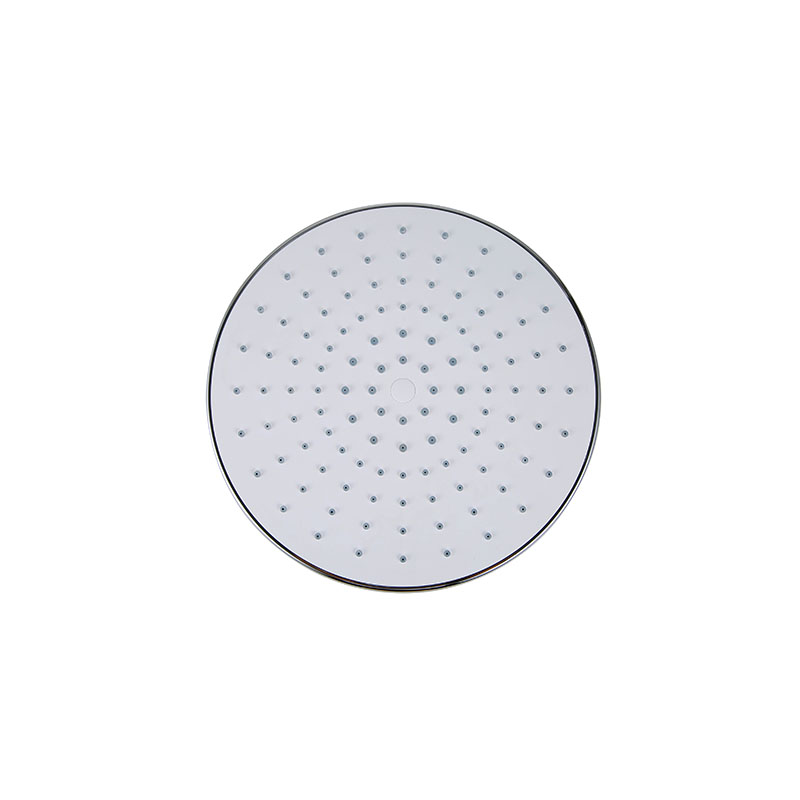Polished Brass Shower Head