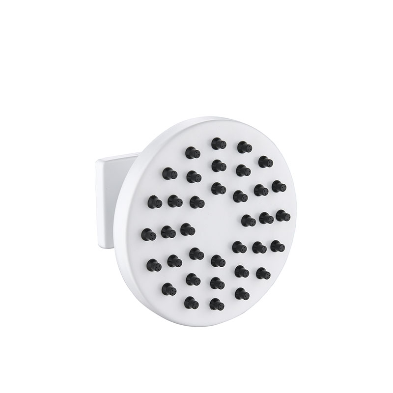 SS Shower Head