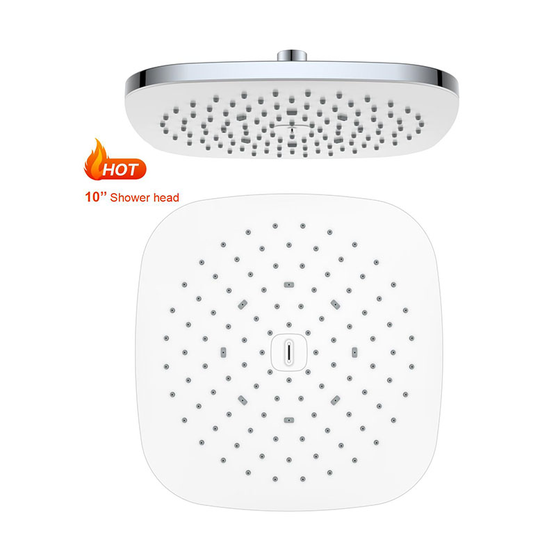 Flexible Shower Head