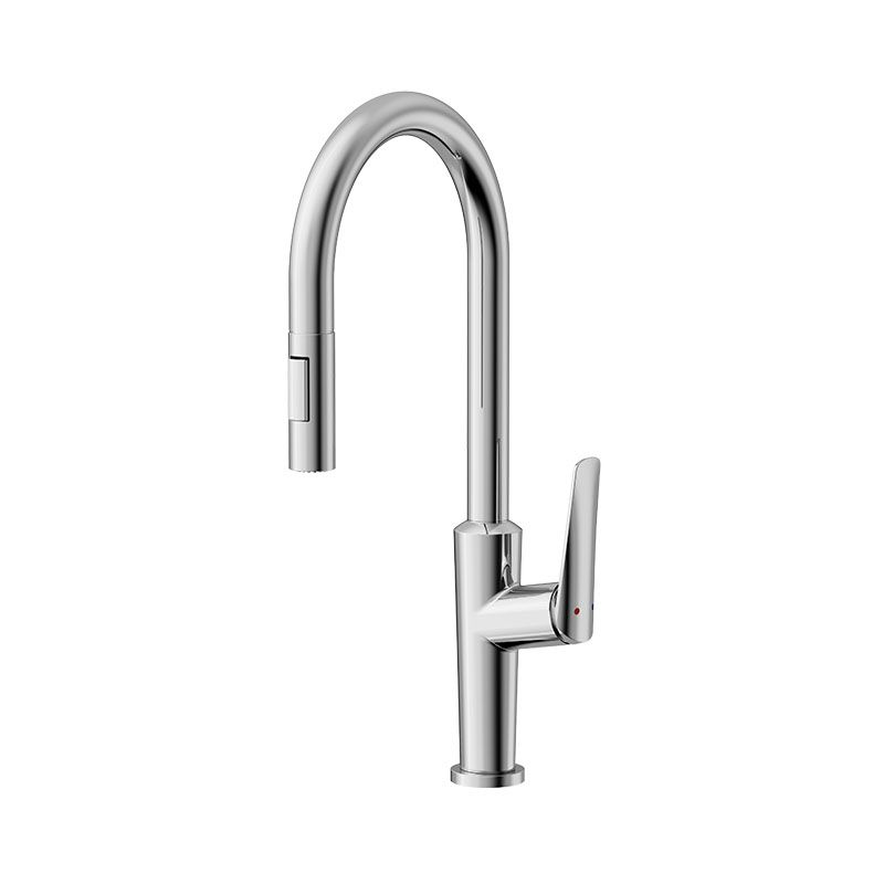 Sink Tap With Pull Out Spray