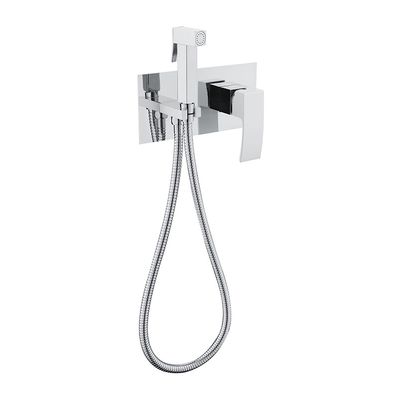 Concealed Shower Set